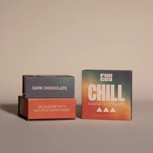 Fun Guy Chill